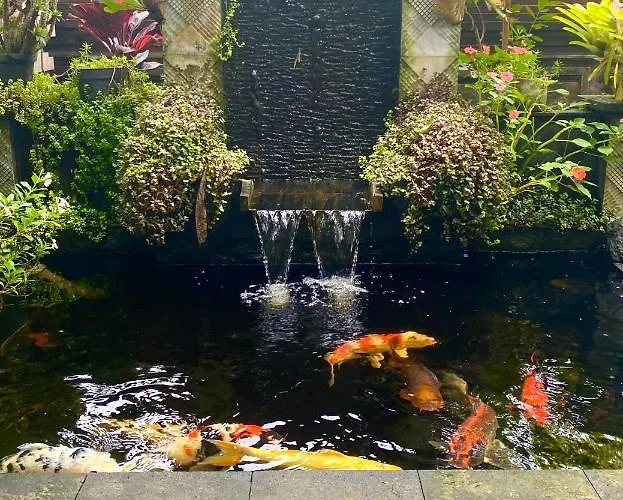 Matahari House 3* ウブド